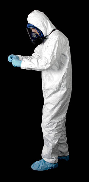 Best Black Mold Removal  in Plymouth, IN