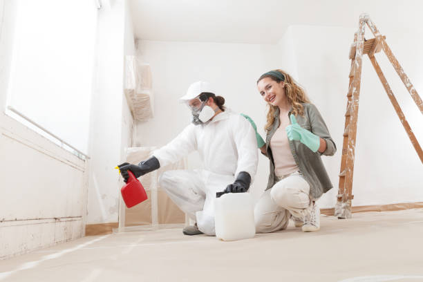 Best Attic Mold Removal  in Plymouth, IN