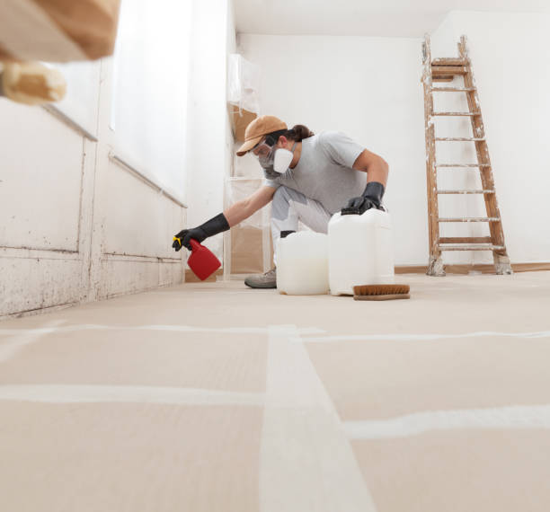 Best Industrial Mold Remediation  in Plymouth, IN